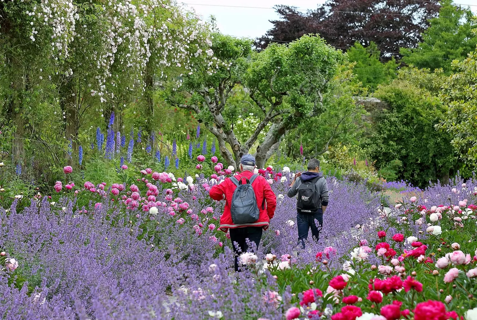 Mount Congreve Estate gardens